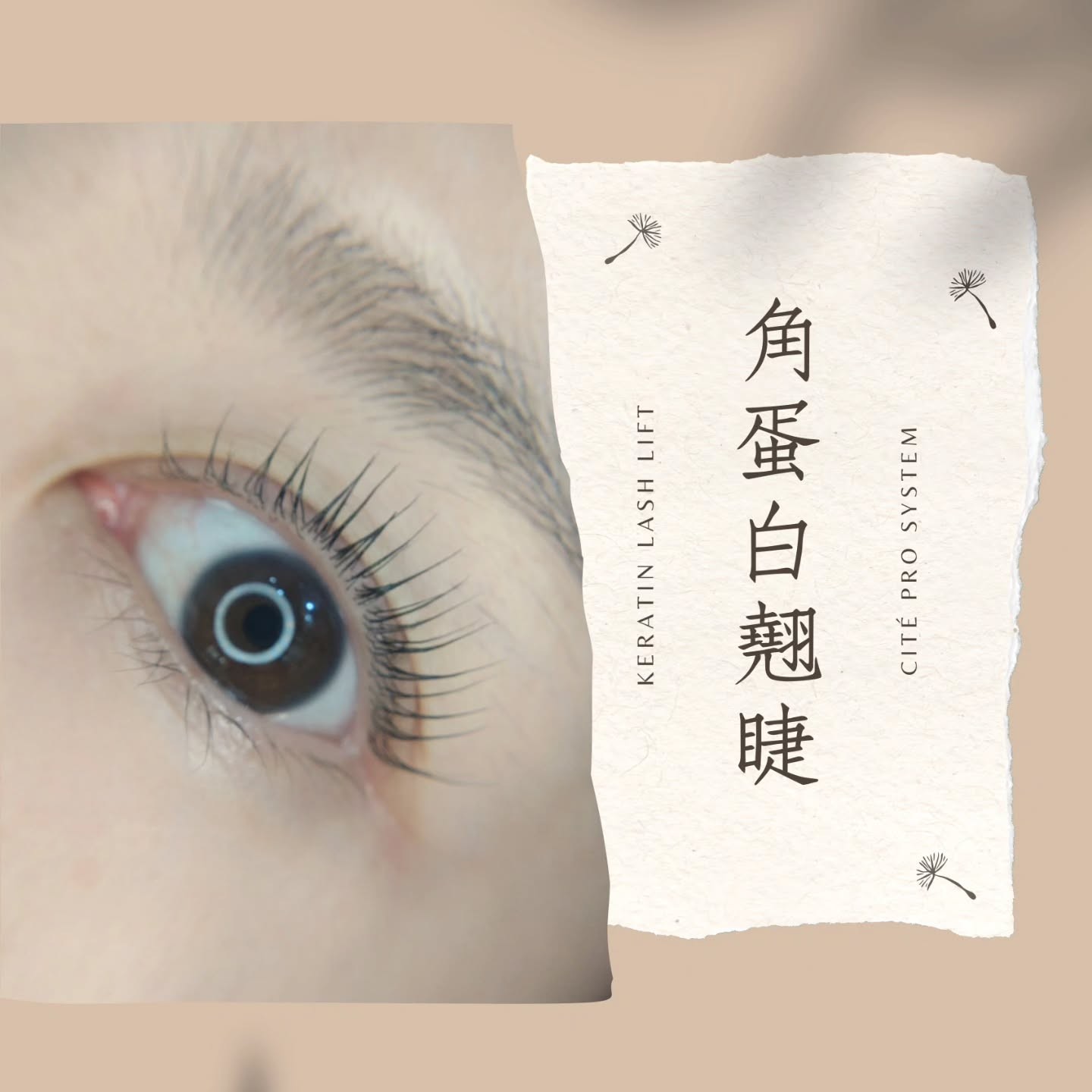 專業技術